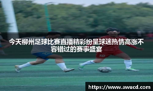 今天柳州足球比赛直播精彩纷呈球迷热情高涨不容错过的赛事盛宴