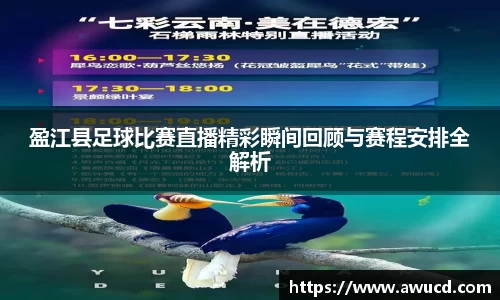 盈江县足球比赛直播精彩瞬间回顾与赛程安排全解析