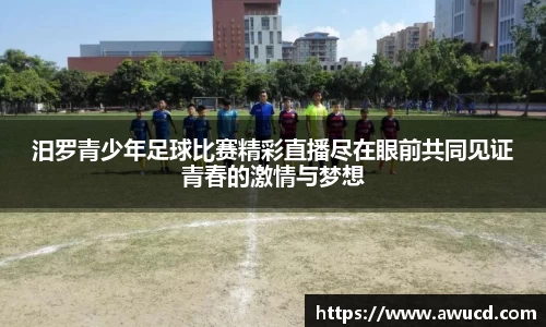 汨罗青少年足球比赛精彩直播尽在眼前共同见证青春的激情与梦想