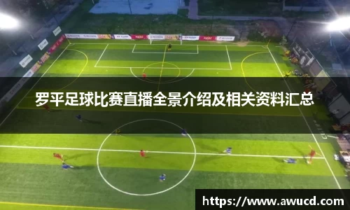 罗平足球比赛直播全景介绍及相关资料汇总