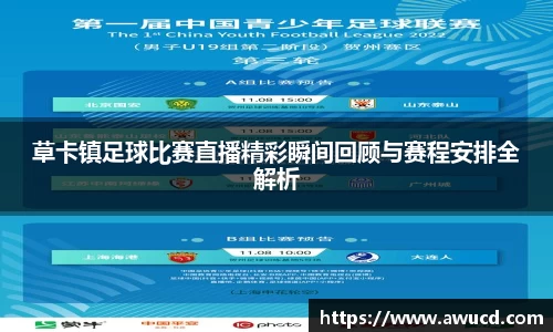 草卡镇足球比赛直播精彩瞬间回顾与赛程安排全解析