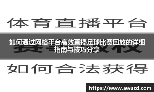 如何通过网络平台高效直播足球比赛回放的详细指南与技巧分享