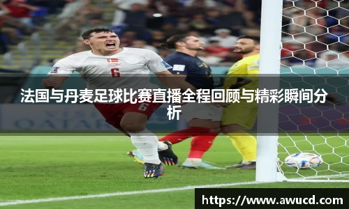 法国与丹麦足球比赛直播全程回顾与精彩瞬间分析