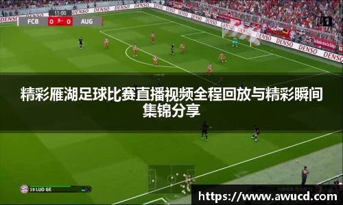 精彩雁湖足球比赛直播视频全程回放与精彩瞬间集锦分享