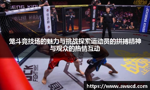 笼斗竞技场的魅力与挑战探索运动员的拼搏精神与观众的热情互动
