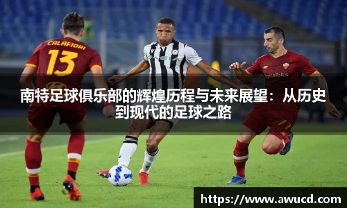 南特足球俱乐部的辉煌历程与未来展望:从历史到现代的足球之路