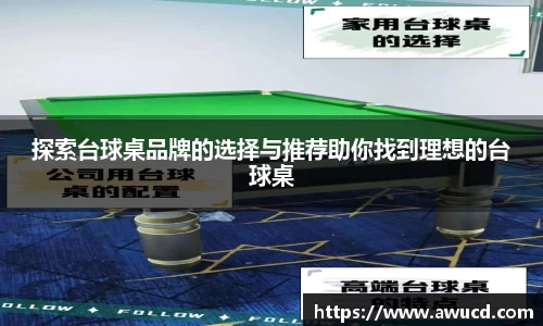 探索台球桌品牌的选择与推荐助你找到理想的台球桌