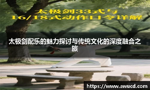 太极剑配乐的魅力探讨与传统文化的深度融合之旅