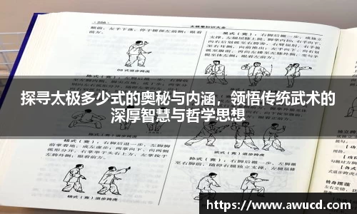 探寻太极多少式的奥秘与内涵，领悟传统武术的深厚智慧与哲学思想