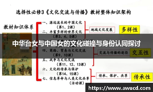 中华台女与中国女的文化碰撞与身份认同探讨