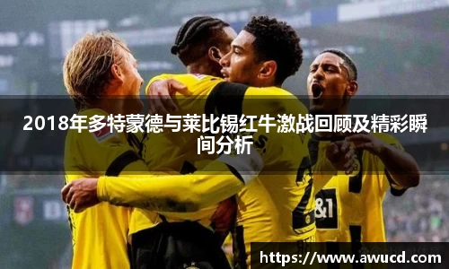 2018年多特蒙德与莱比锡红牛激战回顾及精彩瞬间分析